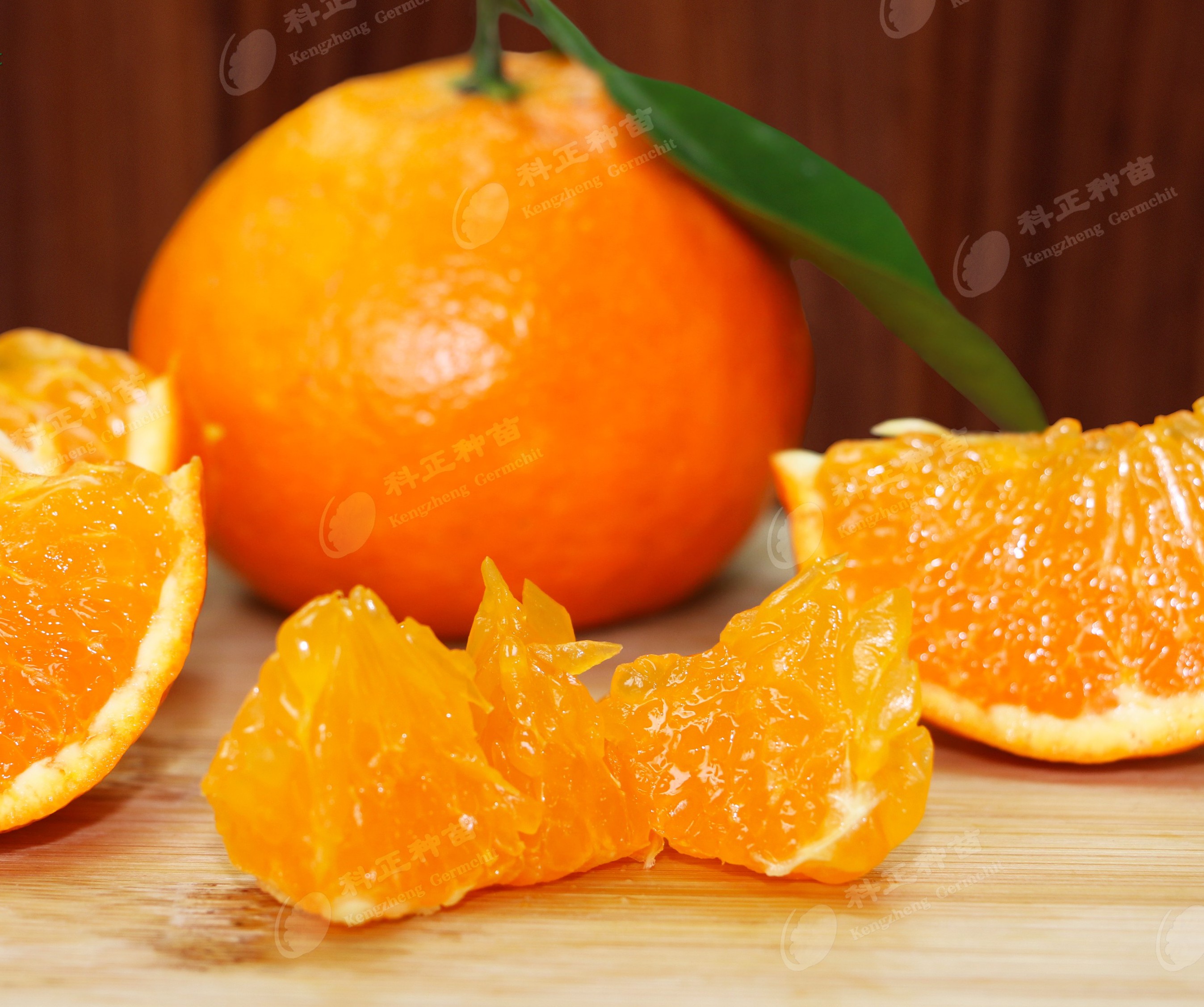 柑橘科学上肥计划